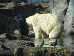 Tiergarten Schönbrunn am 23.03.2023